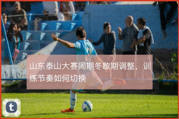 山东泰山大赛周期冬歇期调整,训练节奏如何切换